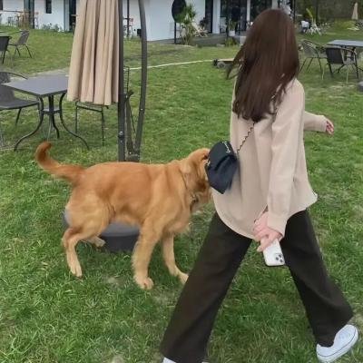 但愿我是平凡人
